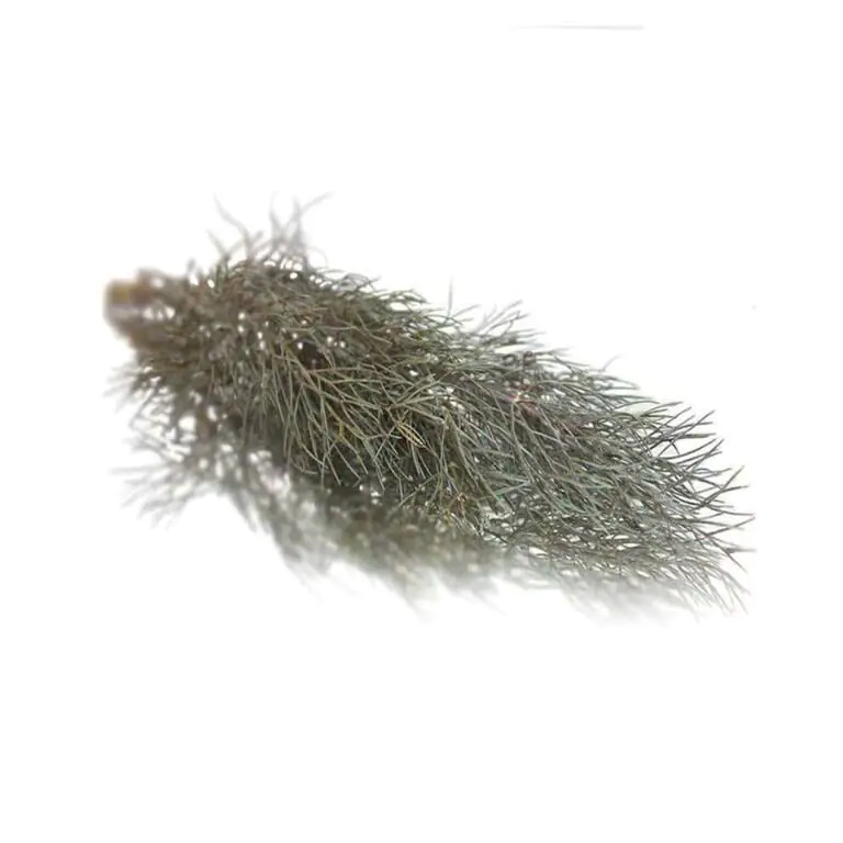 collins-nurtured-Bronze Fennel.webp